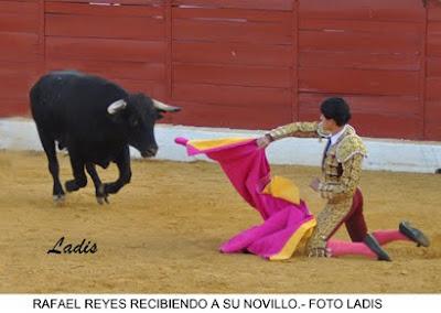 NOVILLADA MIXTA SIN CABALLOS EB VILLANUEVA DE CÓRDOBA: JIMENEZ Y ALCALDE SALEN A HOMBROS NOVILLADA MIXTA SIN CABALLOS EB VILLANUEVA DE CÓRDOBA: JIMENEZ Y ALCALDE SALEN A HOMBROS