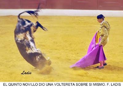 NOVILLADA MIXTA SIN CABALLOS EB VILLANUEVA DE CÓRDOBA: JIMENEZ Y ALCALDE SALEN A HOMBROS NOVILLADA MIXTA SIN CABALLOS EB VILLANUEVA DE CÓRDOBA: JIMENEZ Y ALCALDE SALEN A HOMBROS