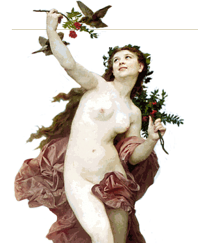 Alqvimia Aceite embellecedor del busto de Alqvimia