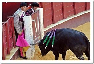 “Desde el tendido 6”. Corrida de toros (14/8/12) “Desde el tendido 6”. Corrida de toros (14/8/12)