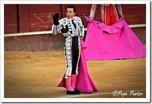 “Desde el tendido 6”. Corrida de toros (14/8/12) “Desde el tendido 6”. Corrida de toros (14/8/12)