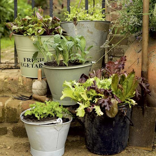PEQUEÑOS JARDINES CON ESTILO PEQUEÑOS JARDINES CON ESTILO