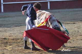 MIGUEL ÁNGEL SERRANO CORTA DOS OREJAS Y RABO EN VILLAVICIOSA MIGUEL ÁNGEL SERRANO CORTA DOS OREJAS Y RABO EN VILLAVICIOSA