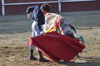 MIGUEL ÁNGEL SERRANO CORTA DOS OREJAS Y RABO EN VILLAVICIOSA MIGUEL ÁNGEL SERRANO CORTA DOS OREJAS Y RABO EN VILLAVICIOSA