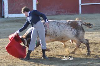 MIGUEL ÁNGEL SERRANO CORTA DOS OREJAS Y RABO EN VILLAVICIOSA MIGUEL ÁNGEL SERRANO CORTA DOS OREJAS Y RABO EN VILLAVICIOSA