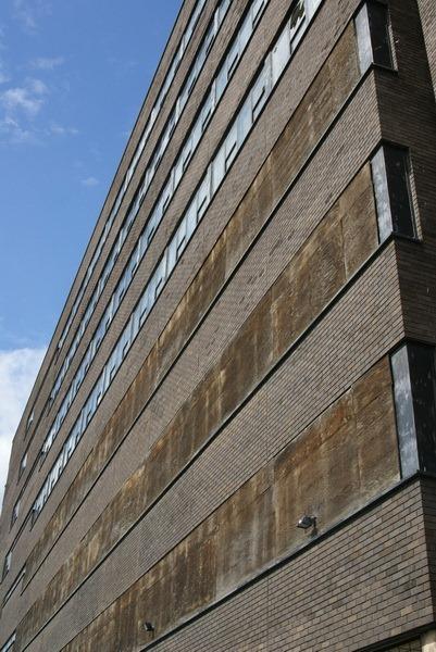 Cavendish 205 Cavendish 205