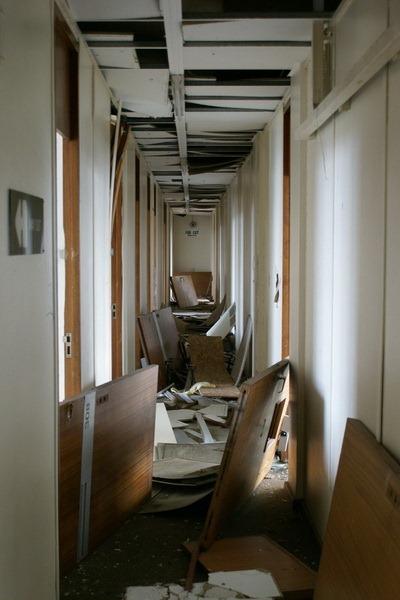 Cavendish 001 Cavendish 001