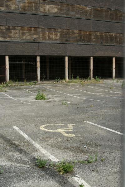 Cavendish 189 Cavendish 189