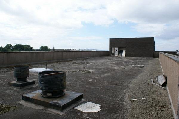 Cavendish 056 Cavendish 056