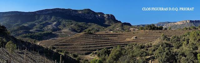 Clos Figueras. Un oasis de obligada visita en Gratallops Clos Figueras. Un oasis de obligada visita en Gratallops