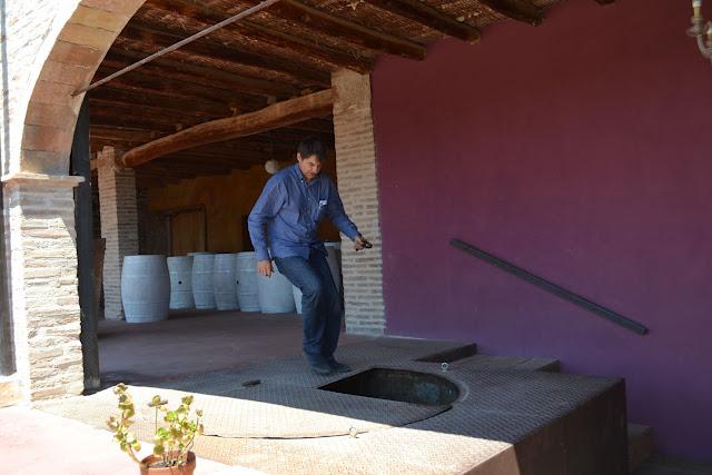 Clos Figueras. Un oasis de obligada visita en Gratallops Clos Figueras. Un oasis de obligada visita en Gratallops