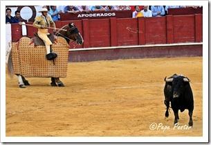 “Desde el tendido 6”. Corrida de toros (17/8/12) “Desde el tendido 6”. Corrida de toros (17/8/12)