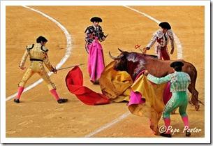 “Desde el tendido 6”. Corrida de toros (17/8/12) “Desde el tendido 6”. Corrida de toros (17/8/12)