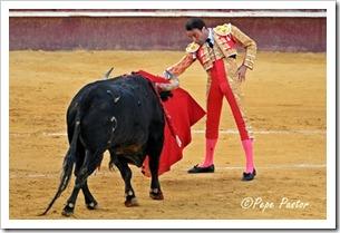 “Desde el tendido 6”. Corrida de toros (17/8/12) “Desde el tendido 6”. Corrida de toros (17/8/12)