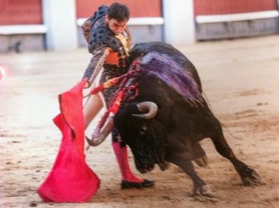 Fernando Cruz. Torero.