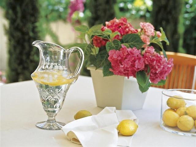 Momentos Refrescantes y Serenos / Refreshing and Serene Moments Momentos Refrescantes y Serenos / Refreshing and Serene Moments