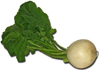 nabo Tres alimentos que ayudarán a desechar esa grasa innecesaria