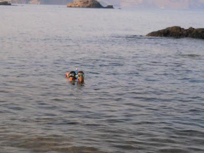 Miércoles Mudo (IX): Snorkel en Los Escullos Miércoles Mudo (IX): Snorkel en Los Escullos