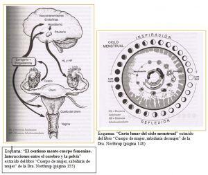 EL CICLO MENSTRUAL Y SUS DONES