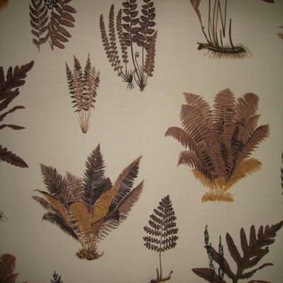 Mirar o contemplar... Mirar o contemplar...