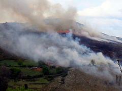 Verano de incendios y recortes Verano de incendios y recortes