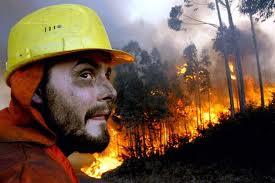 La ausencia de gestión forestal es una ruleta rusa que propicia grandes incendios y condena al medio rural