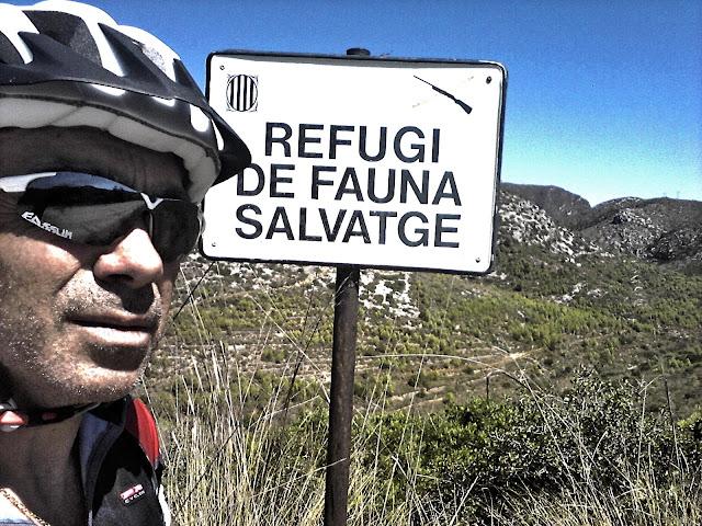 Rolling  to the mountains in the heat of the day .... (83,660 km de MTB en pleno parque Natural del Garraf... Sentirse libre no tiene precio...!!f