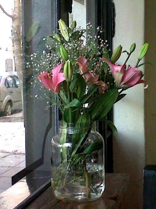 le blé | un clásico en chacarita le blé | un clásico en chacarita