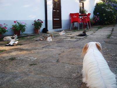 Fábula del Mediterráneo y pueblos portugueses Fábula del Mediterráneo y pueblos portugueses