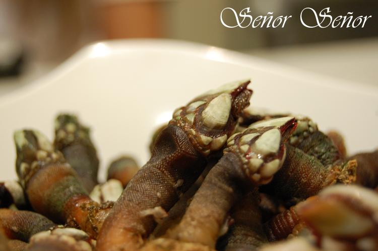 Cómo cocer percebes