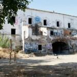 local_rave Local rave