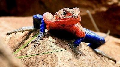 Running 2012... y 32/33/34: 191,18 kms veraniegos... Running 2012... y 32/33/34: 191,18 kms veraniegos...