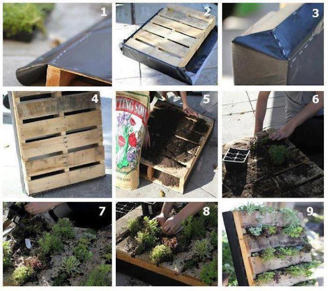 AROMATICAS EN LA COCINA AROMATICAS EN LA COCINA