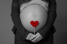 El metabolismo de la madre, no el tamaño del canal del nacimiento, es lo que limita la duración del embarazo