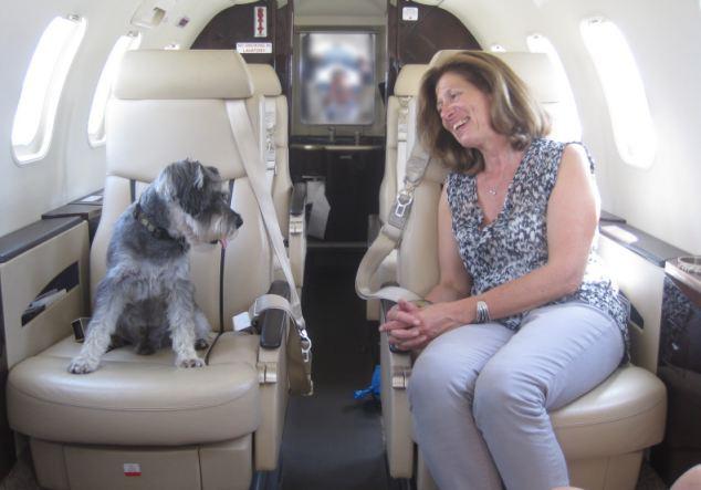 Viajar en avion con un perro