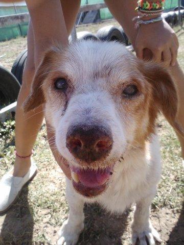 ABUELO MORIBUNDO ABANDONADO. ROTA (CADIZ) URGENTE!! ABUELO MORIBUNDO ABANDONADO. ROTA (CADIZ) URGENTE!!