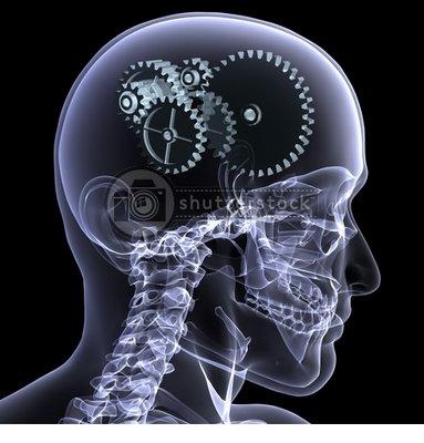 50 curiosidades sobre el cerebro (mito y realidad) 50 curiosidades sobre el cerebro (mito y realidad)