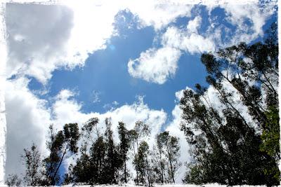 ¿De qué clima eres tú?