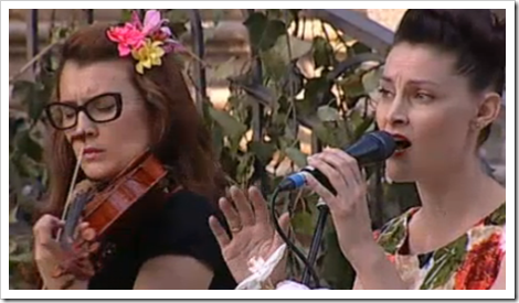 the chinese birdwatchers the chinese birdwatchers