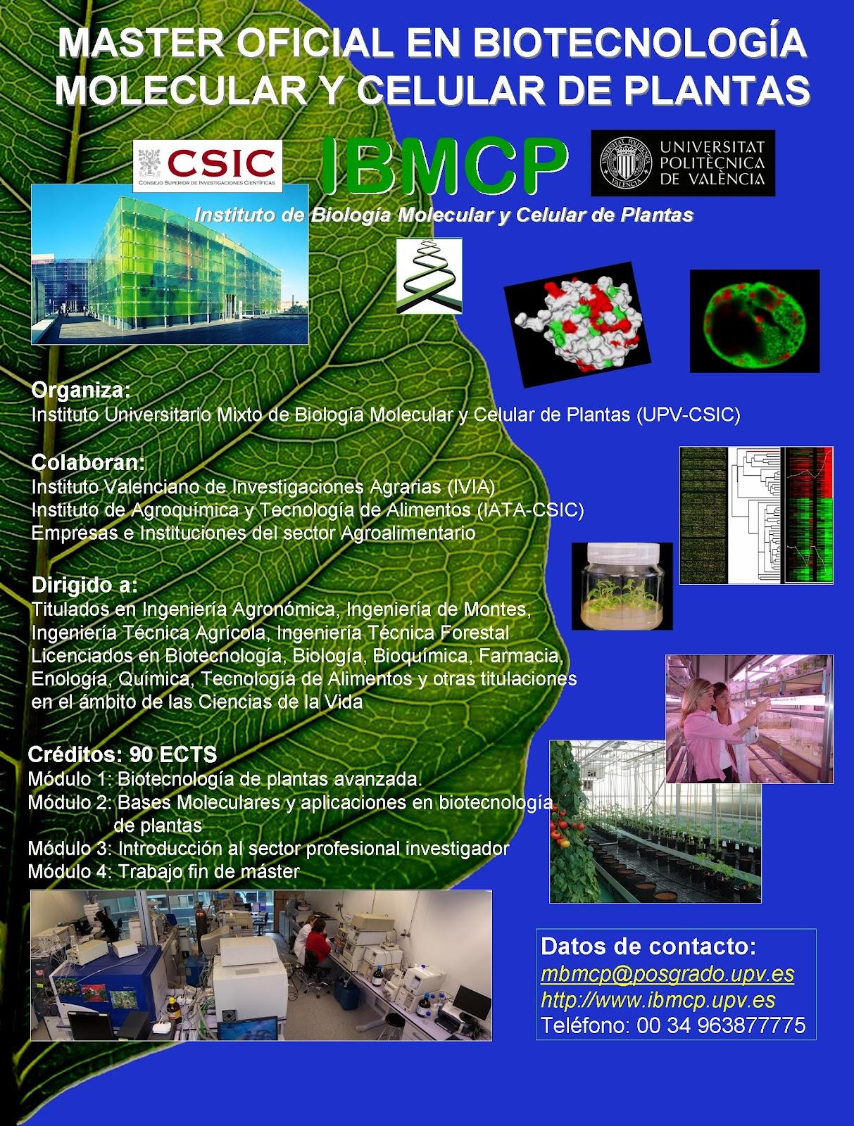 Máster en Biotecnología Molecular y Celular de Plantas