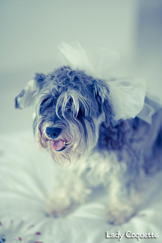 Boda Pati&Jose; 1ª parte (1/3) Boda Pati&Jose; 1ª parte (1/3)