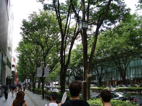 Día 3 : Harajuku y Shibuya Día 3 : Harajuku y Shibuya