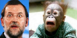 Barrena continua (CPI-8) Premium. Barrena continua (CPI-8) Premium.