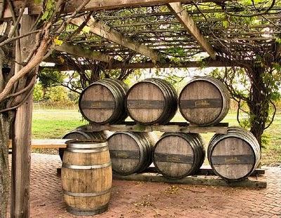 Tiempo de vendimia    /    Time of harvest