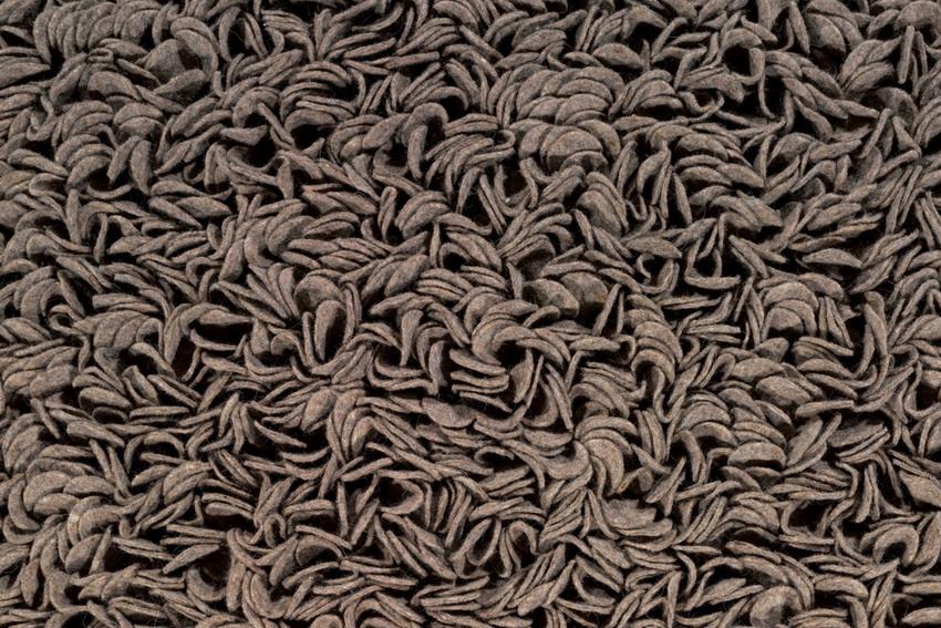 Éstas no vuelan... Éstas no vuelan...