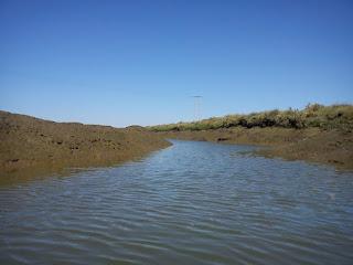 Por las Marismas de Isla Cristina