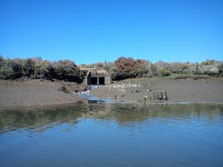 Por las Marismas de Isla Cristina