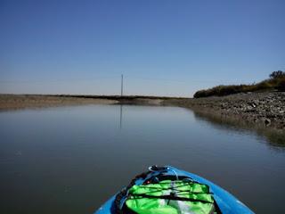 Por las Marismas de Isla Cristina