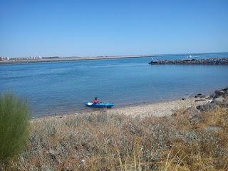 Por las Marismas de Isla Cristina