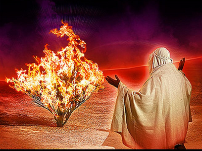 Un llamado al compromiso Un llamado al compromiso